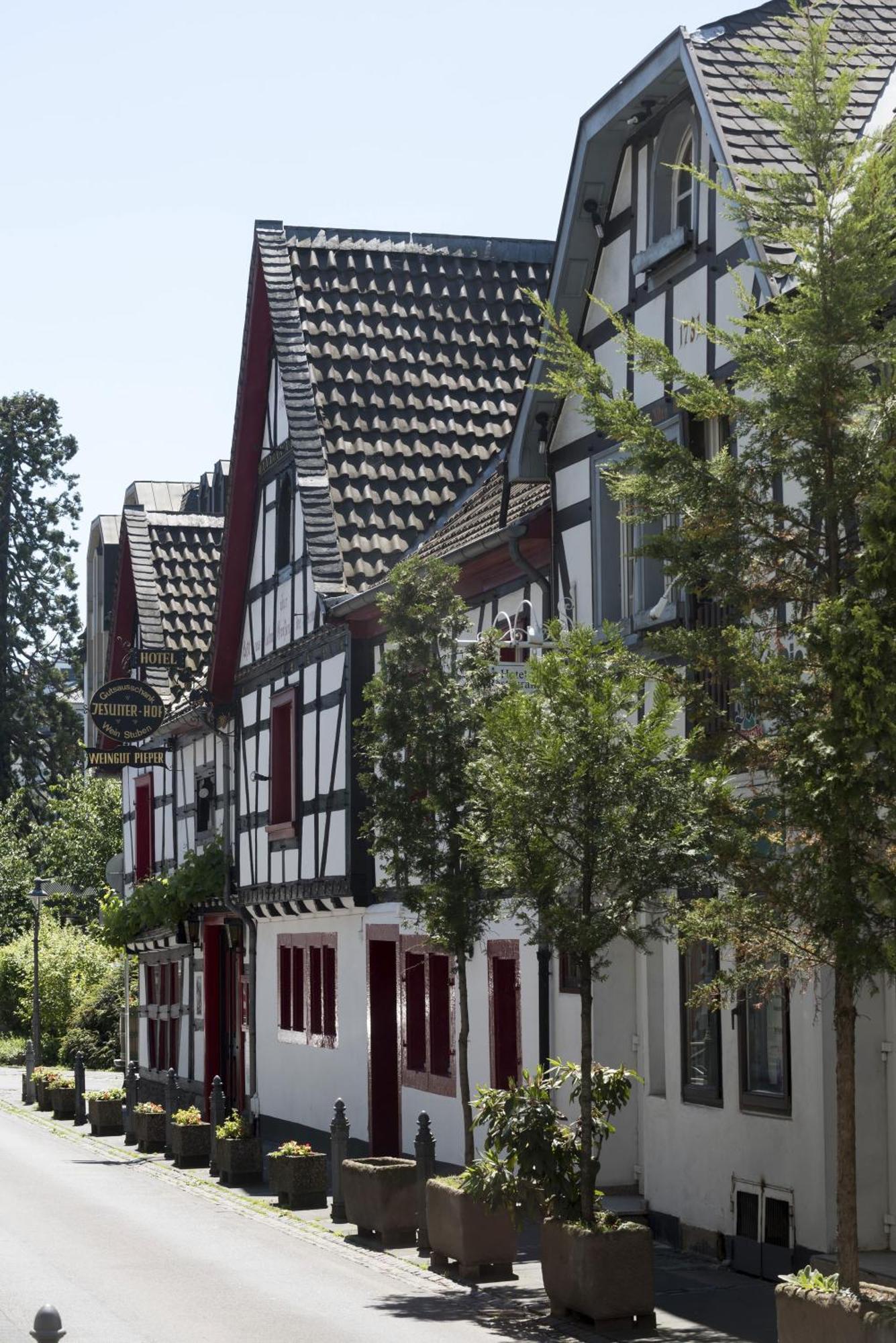Maritim Hotel Königswinter Exteriér fotografie